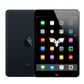 iPad Mini 1