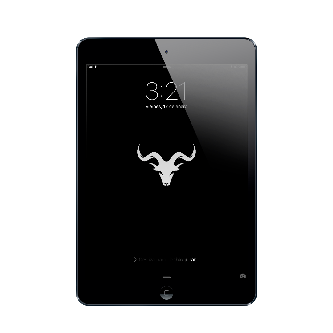 iPad Mini 1